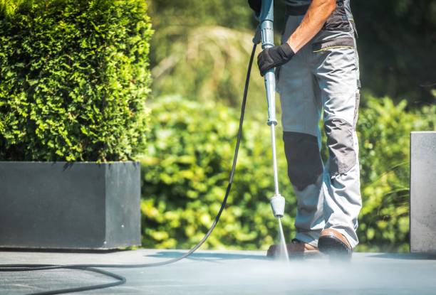 Best Driveway Pressure Washing  in Las Lomas, CA