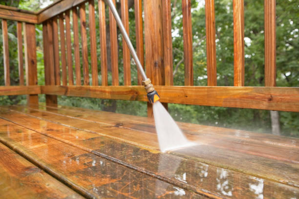 Best Solar Panel Cleaning  in Las Lomas, CA